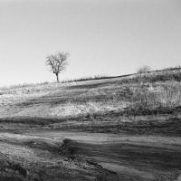 Horizont
