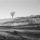 Horizont